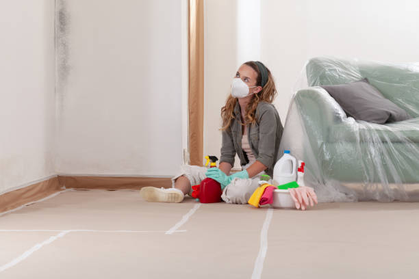 Reliable Mold Cleanup contractor in Castalia, NC by Cheap Mold Removal